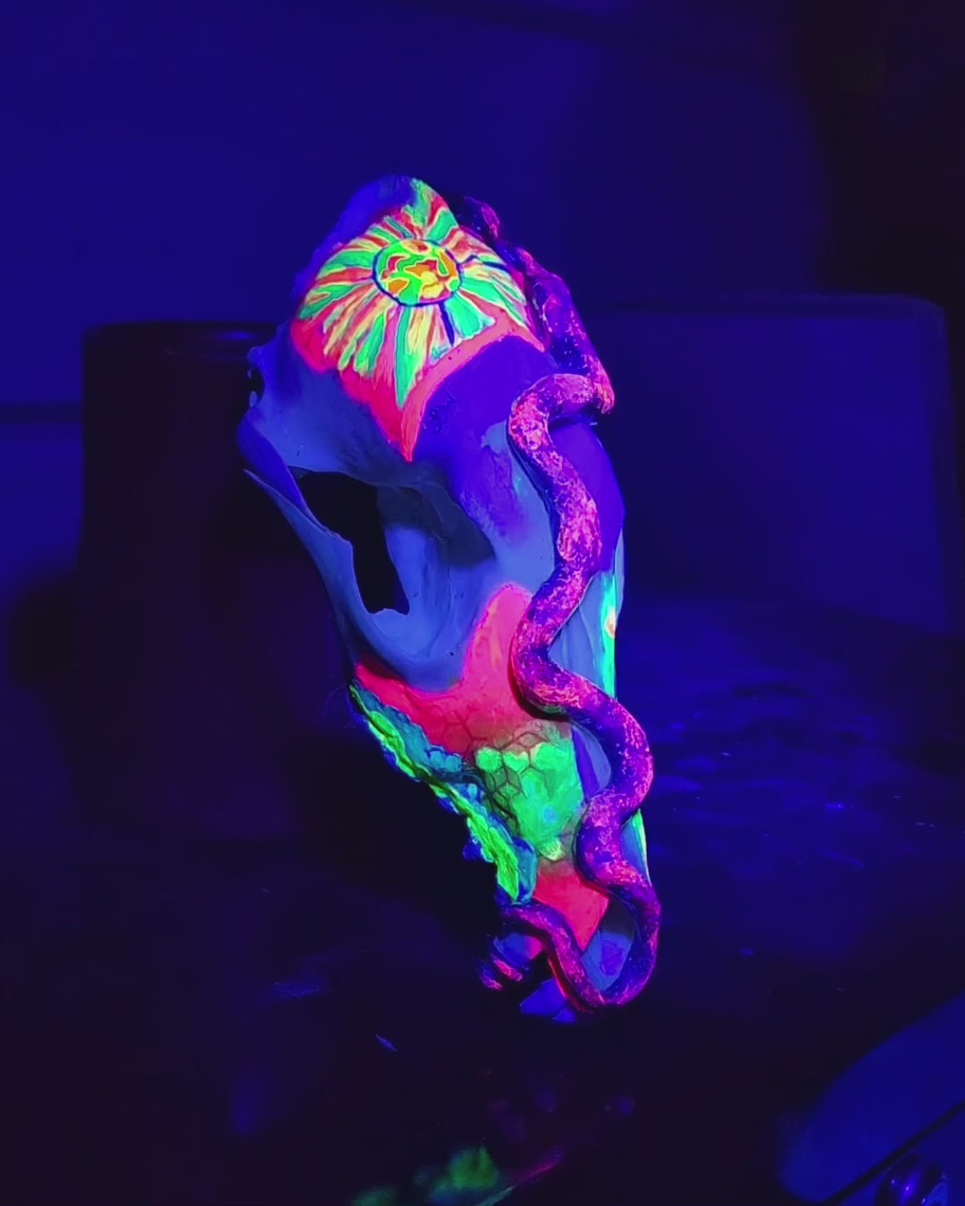 T&A Hand Painted Female Coyote Skull - Slither (black light glow)