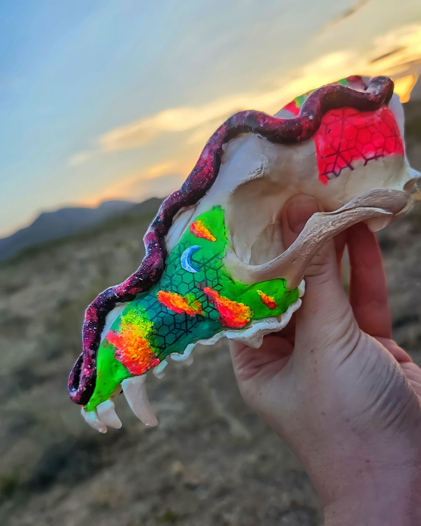 T&A Hand Painted Female Coyote Skull - Slither (black light glow)