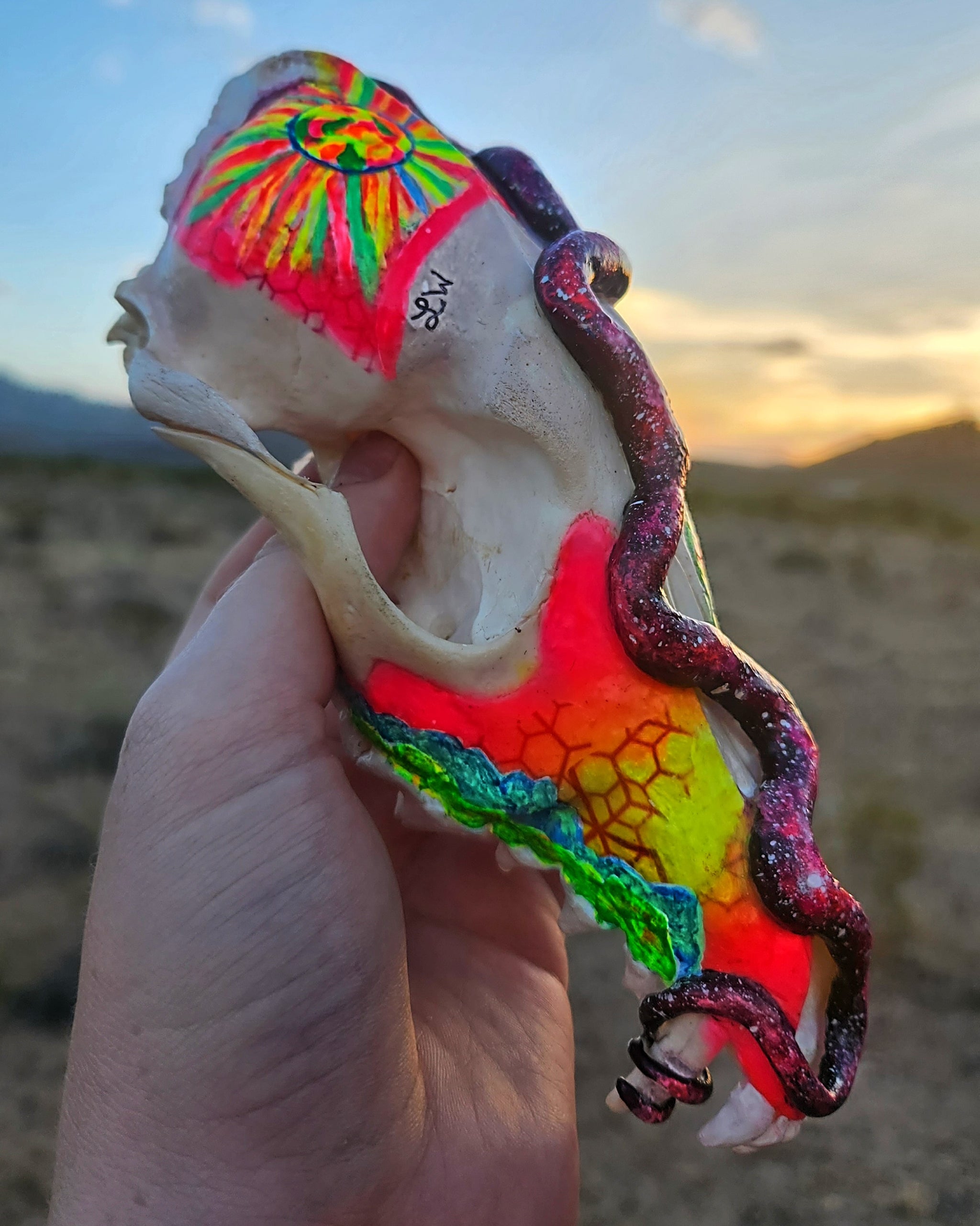 T&A Hand Painted Female Coyote Skull - Slither (black light glow)