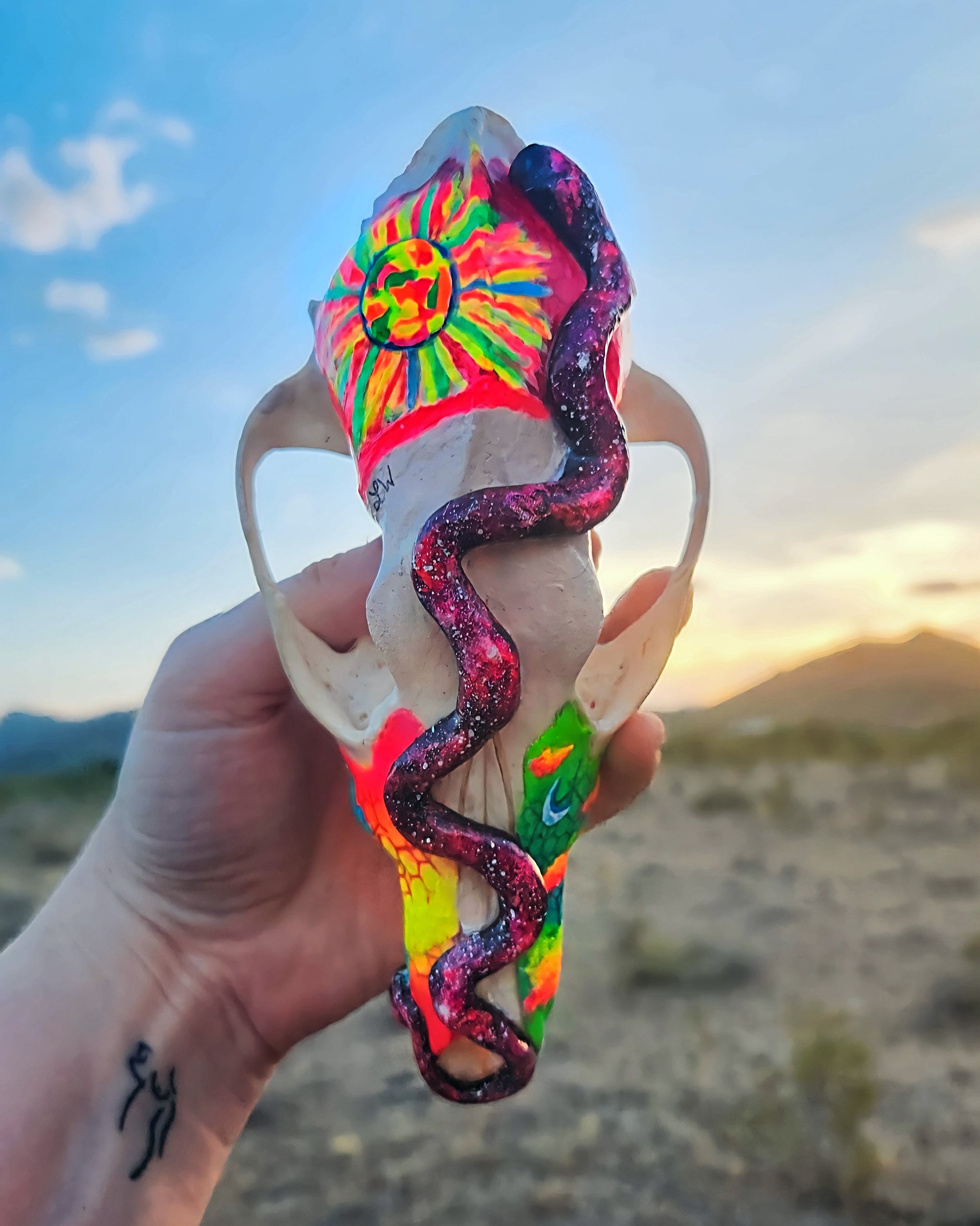 T&A Hand Painted Female Coyote Skull - Slither (black light glow)