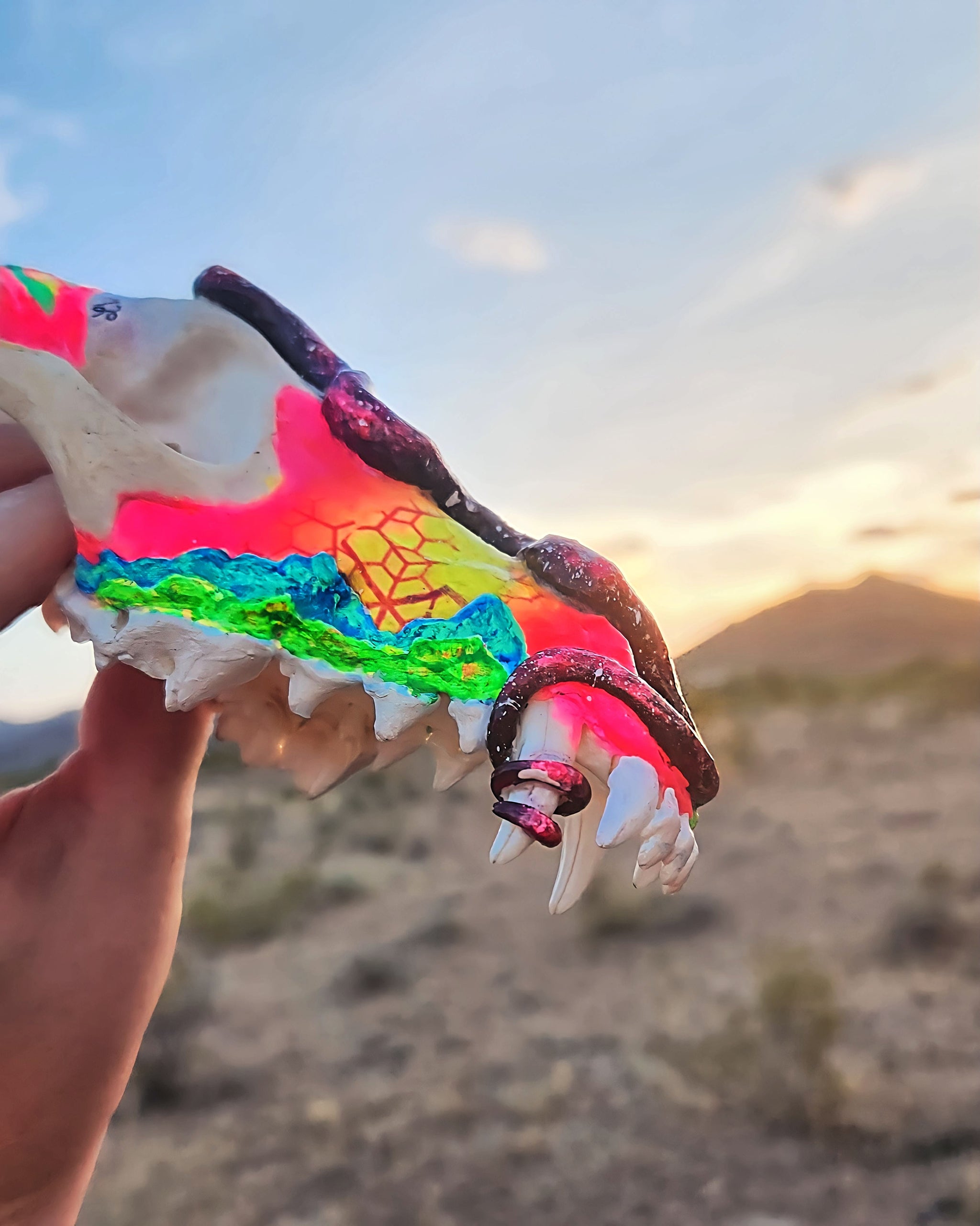 T&A Hand Painted Female Coyote Skull - Slither (black light glow)