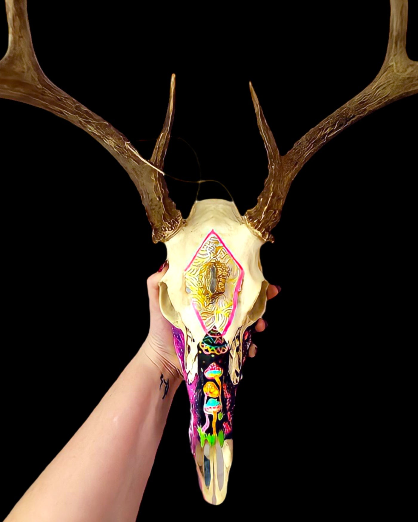 T&A Hand Painted Male Deer Skull - The Mushroom