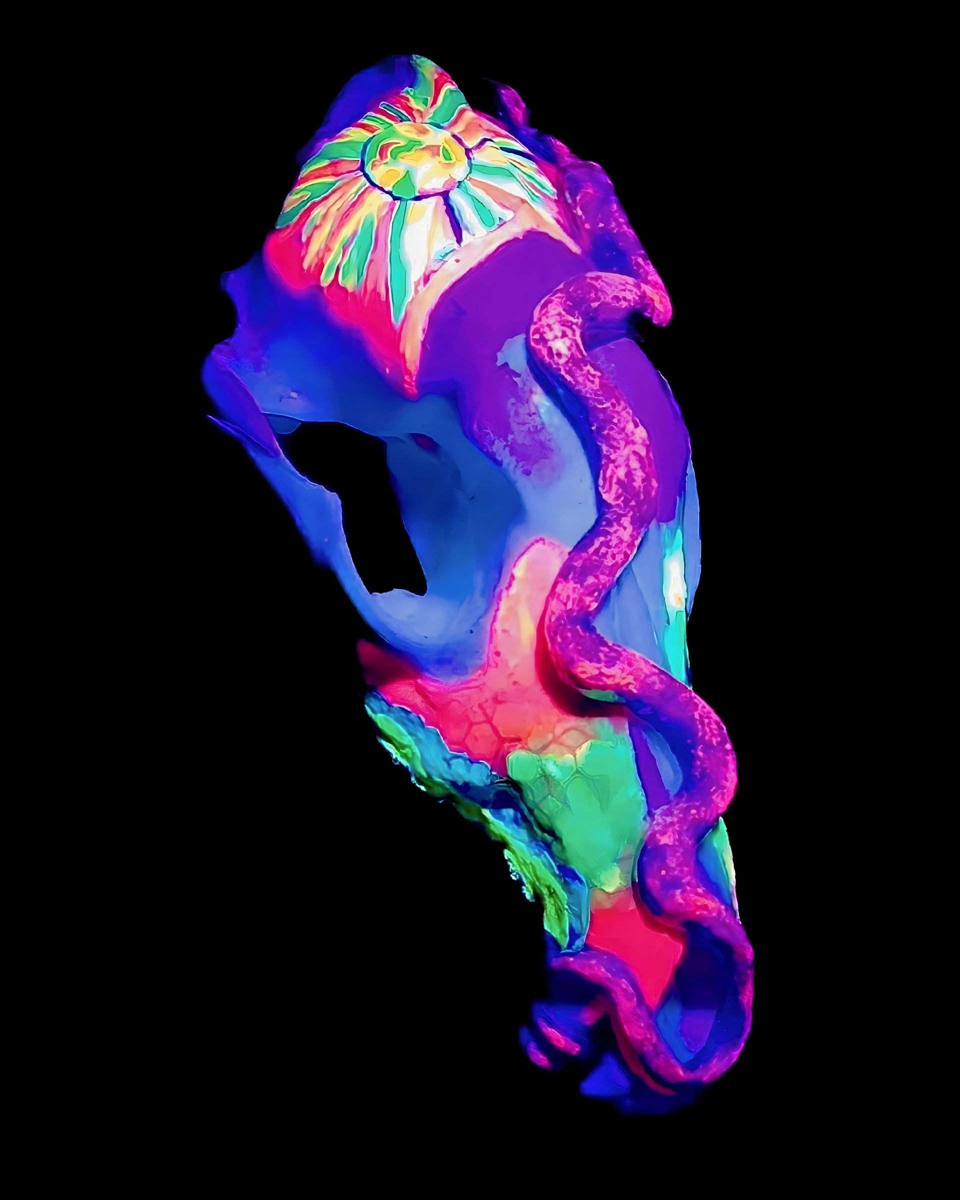T&A Hand Painted Female Coyote Skull - Slither (black light glow)