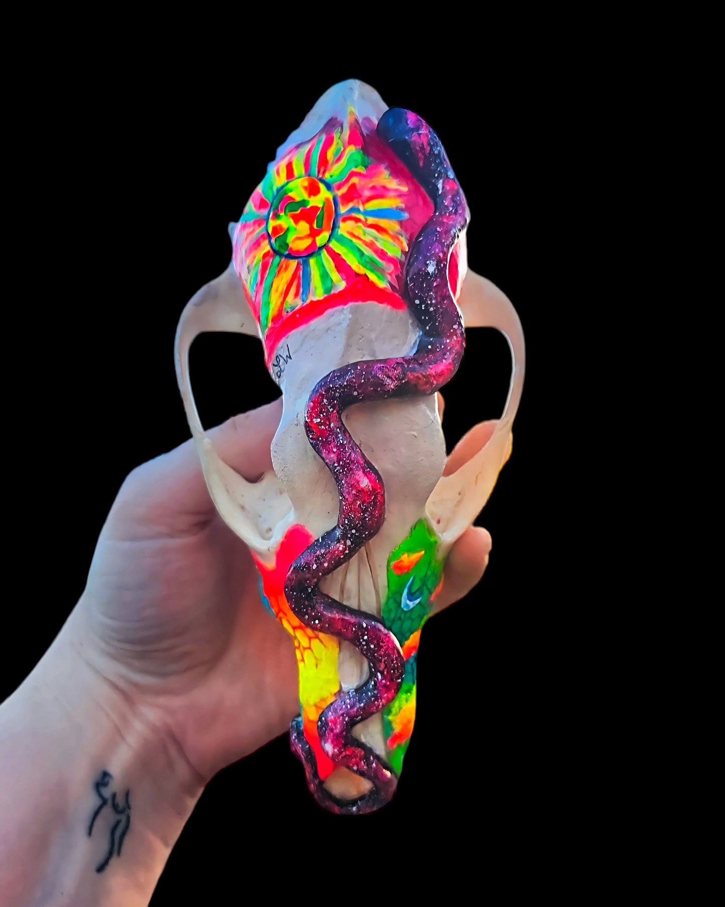 T&A Hand Painted Female Coyote Skull - Slither (black light glow)